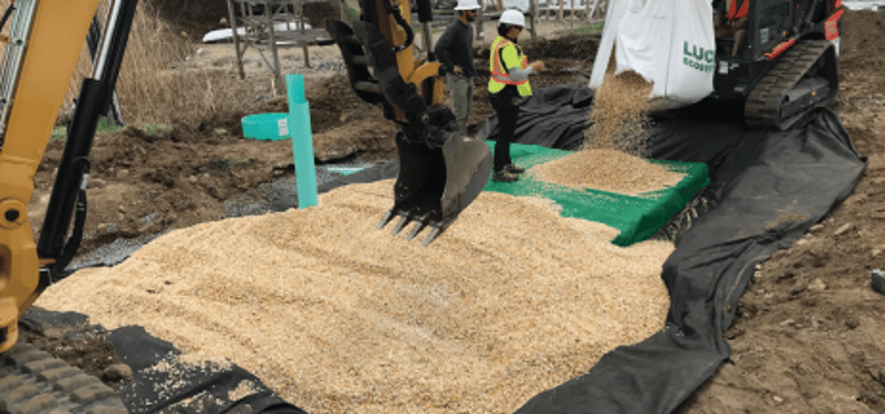 Biofiltration At Winter Island Park preview 4